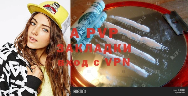 mdpv Богородицк