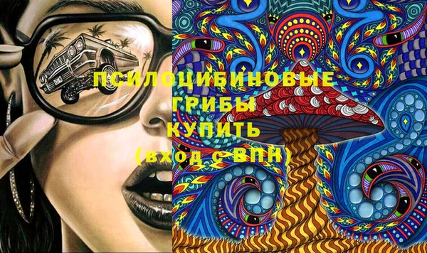 тгк Богданович