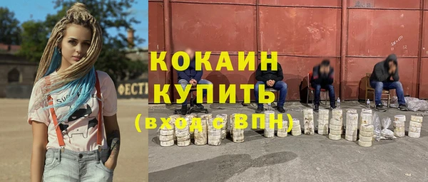 тгк Богданович