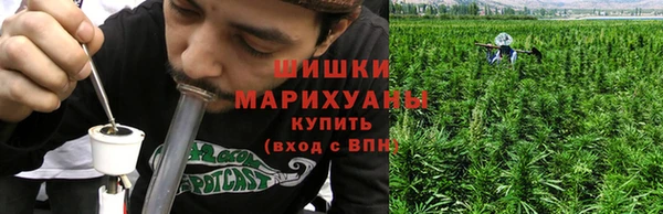 mdpv Богородицк