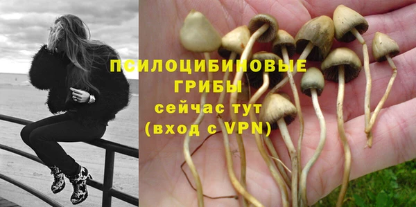 mdpv Богородицк